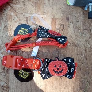 Halloween dog collar